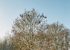 2004010209 sneeuw